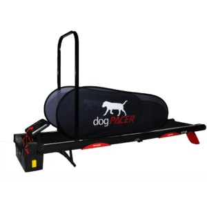 Dog pacer treadmill