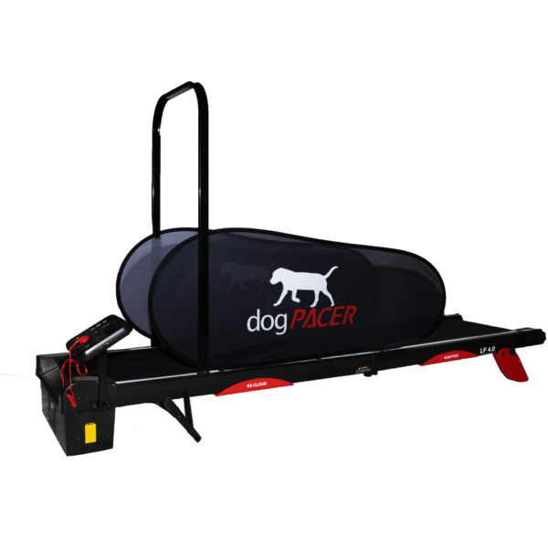 Dog pacer treadmill